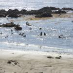 cambria_317 (November 03, 2018)